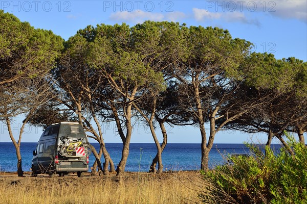 Camper between pine trees on the beach