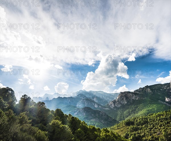 Rocky landscape with pines and cloudy sky