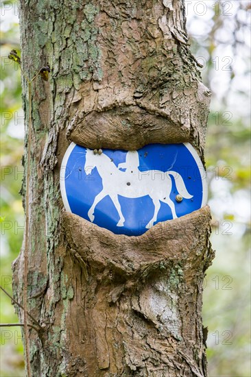 Sign bridleway grown in to tree