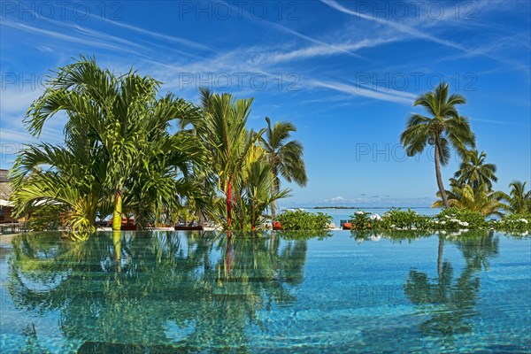 Lush vegetation by the water