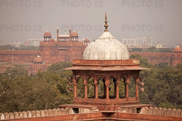 Dome of the Friday Mosque Jama Masjid with the Red Fort