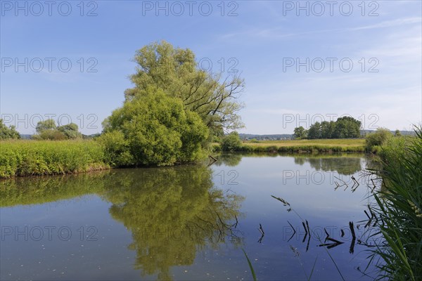 Backwater of the Lafnitz