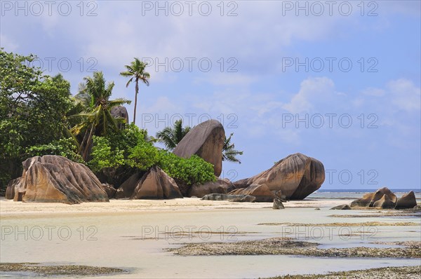 Granite rocks and palm trees on Anse la Reunion beach