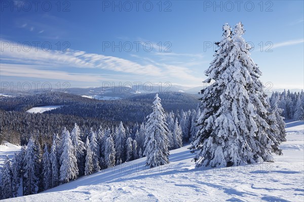 View of Feldberg