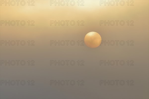 Sun at sunrise with fog