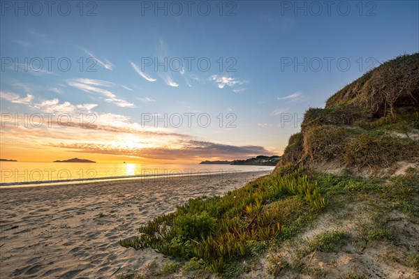 Beach Waipu Beach at sunrise