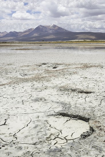 An almost dried up salt lake