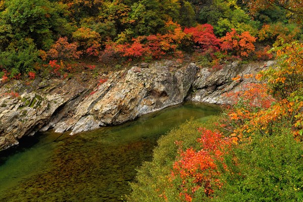 Black River in autumn landscape