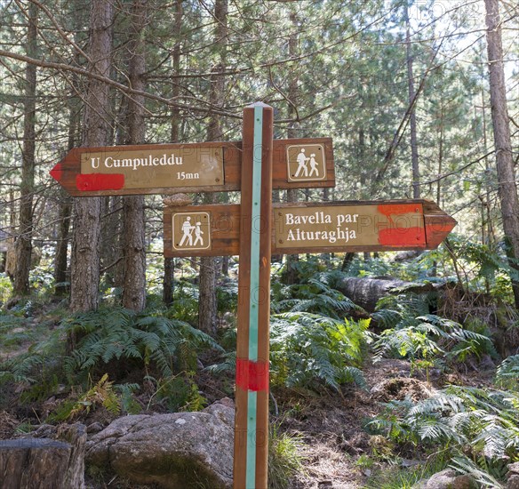 Signpost with Corsican names to the bomb crater U Compuleddu