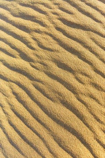 Wave pattern in the sand