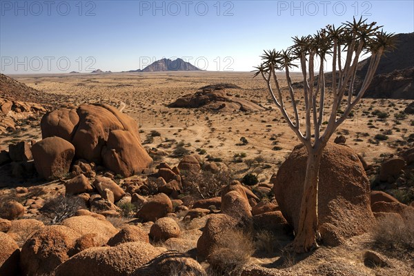 View from the Great Spitzkoppe