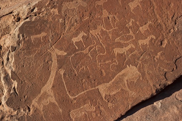 Prehistoric petroglyphs