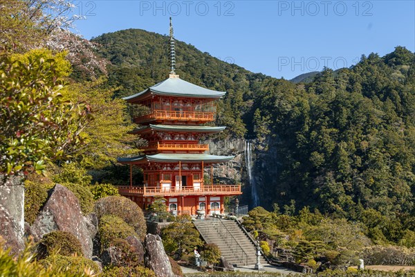 Nachi waterfall behind pagoda of Seigantoji Temple