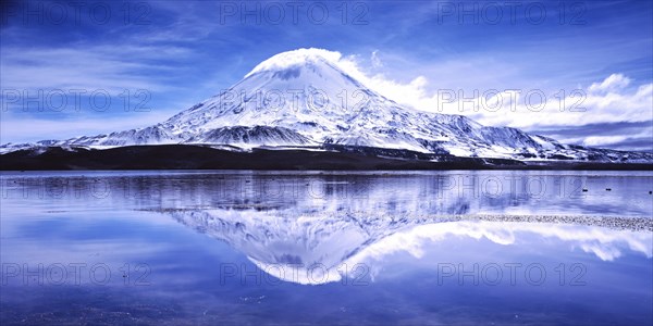 Parinacota volcano with reflections in the lake Lago Chungara