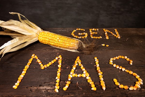 Corn cob with the lettering 'Gen Mais'