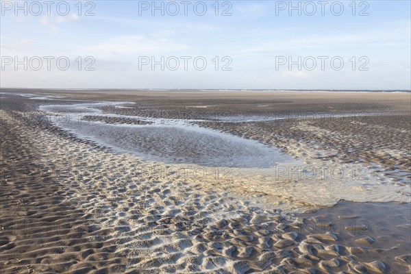 Low tide in the Lower Saxon Wadden Sea National Park