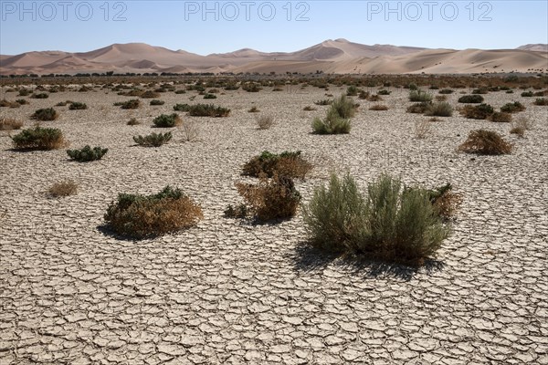 Sand dunes