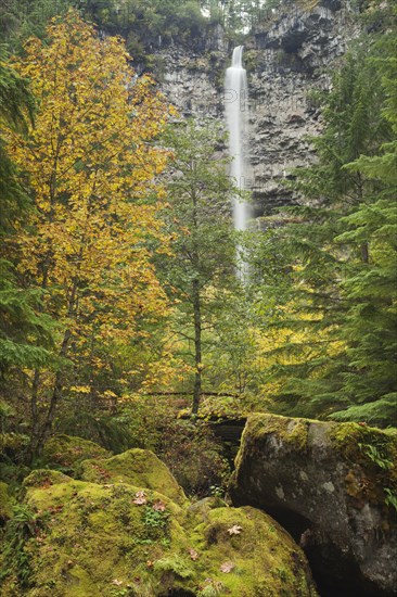 Watson Falls