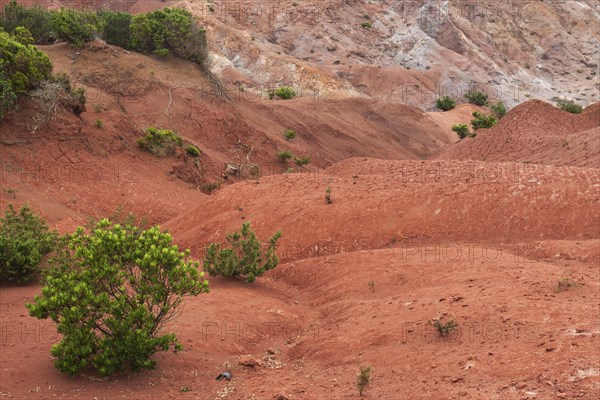 Red soil