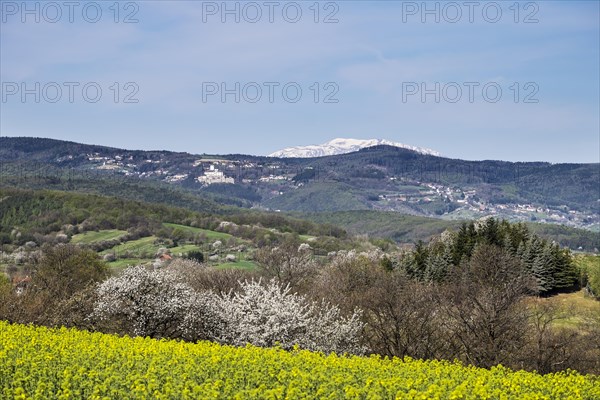 Forchtenstein Castle and Schneeberg mountain