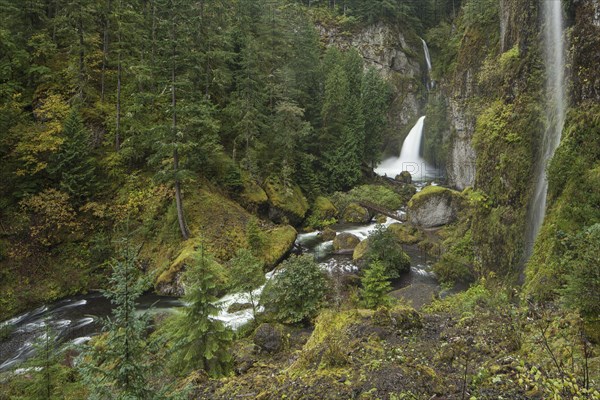 Wahclella Falls in the Columbia River Gorge