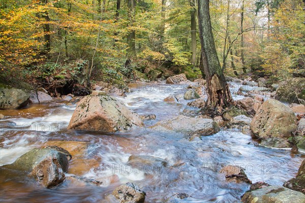 Ilsetal valley in autumn