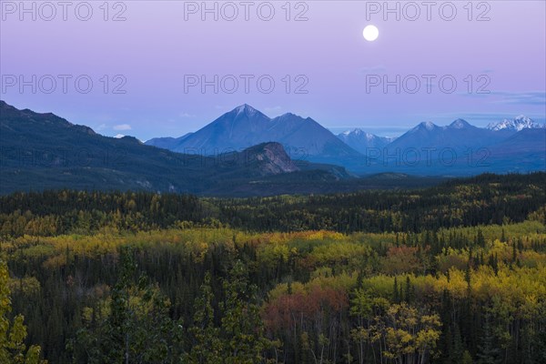 Autumnal landscape
