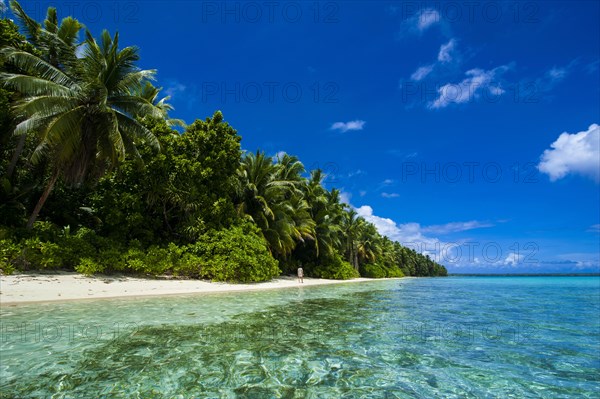 White sand beach and turquoise water in the Ant Atoll