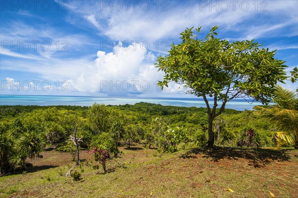 Overlooking the island