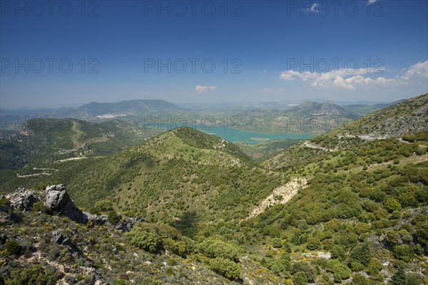 Embalse de Zahara in the Sierra de Grazalema natural park