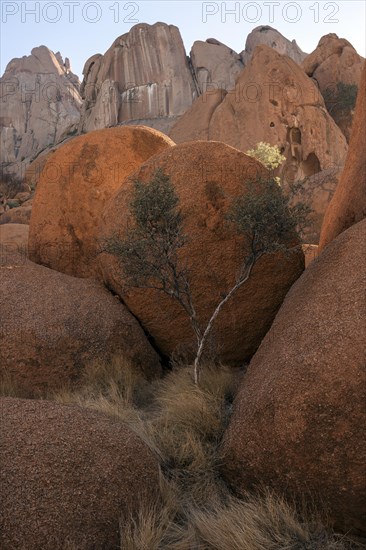 Large boulders and a tree