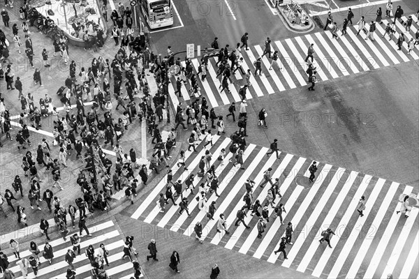 Shibuya crossing