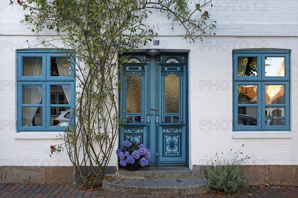 Historical house with decorative wooden door