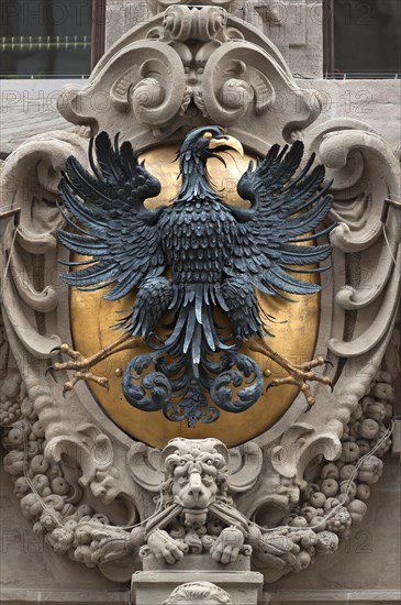 Imperial eagle