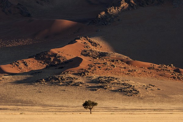 Sand dunes