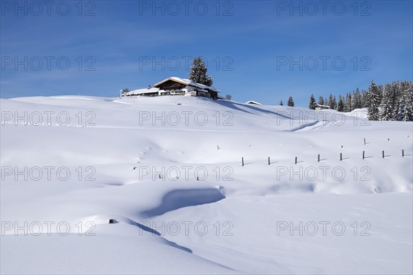 Winklmoosalm alp