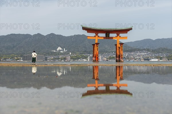 Itsukushima Floating Torii Gate in Water