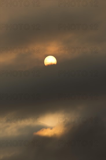 Sun behind clouds and brownish ash and gas clouds of the Holuhraun fissure eruption