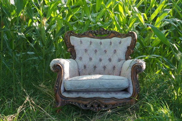 Old armchair in front of a corn field