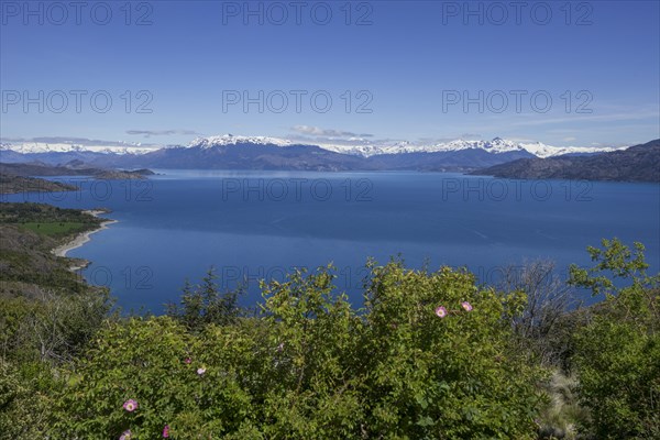 General Carrera Lake