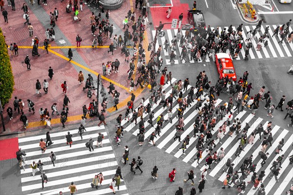 Shibuya crossing