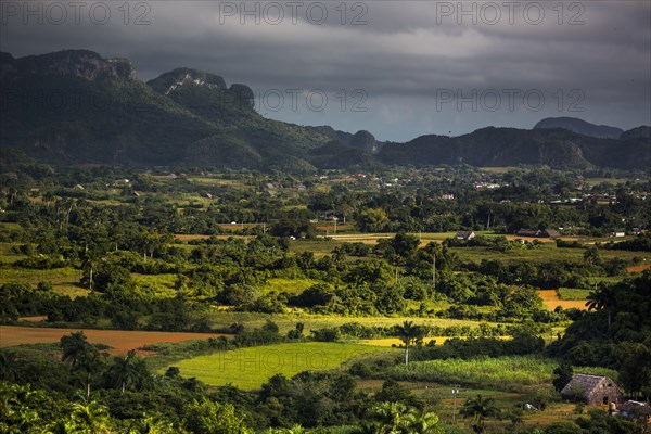 Tobacco fields and the Mogotes karst mountains