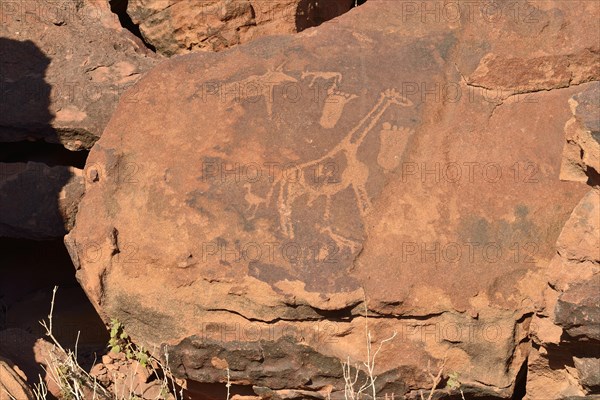 Neolithic petroglyphs of Twyfelfontein