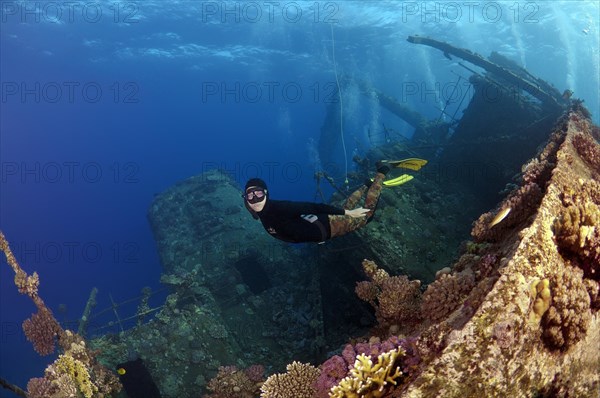 Freediver diving the Gianis D wreck