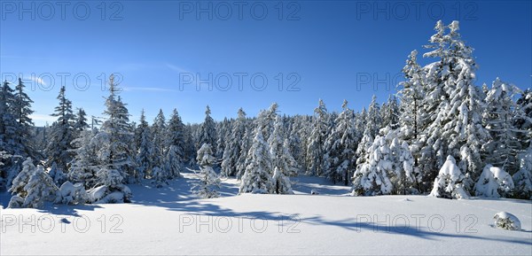 Snow-covered winter landscape