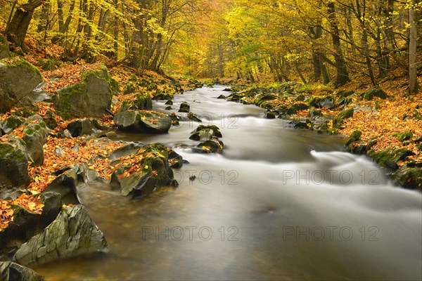 Schwarza River in the autumn