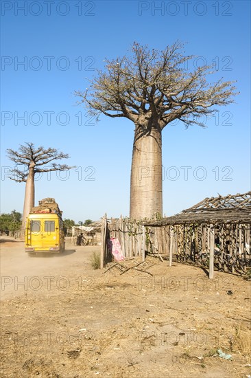 Yellow bus crossing a village