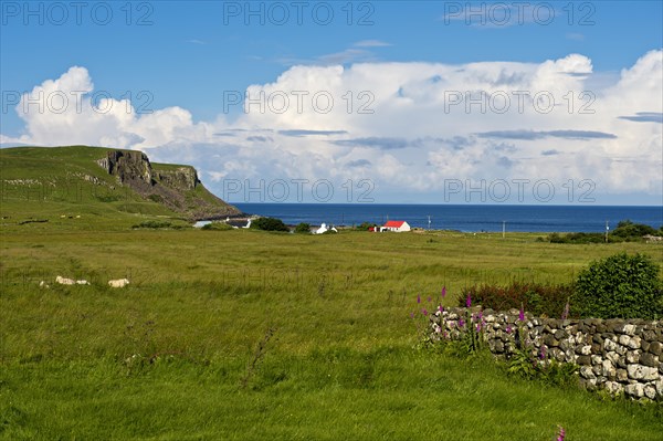 Coastline near Bornesketaig