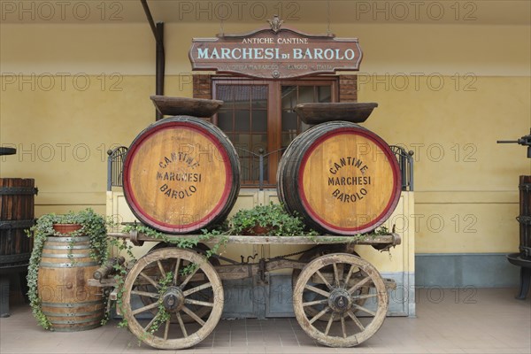 Wine barrels