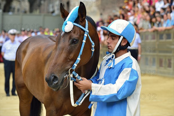 Jockey and horse of the Contrada of the Wave